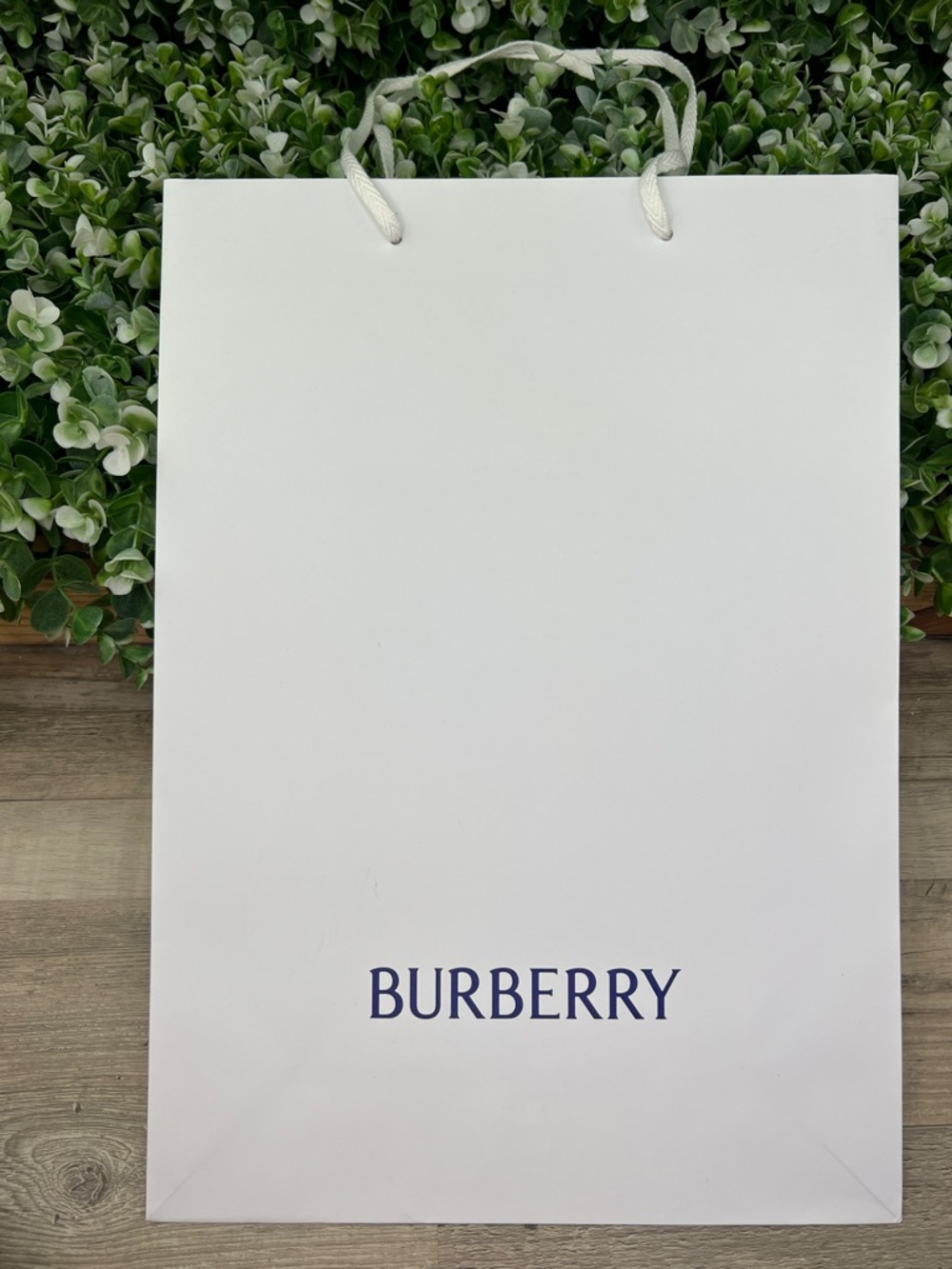 Burberry Authentic Classic Gift Bag / Shopping Bag - Picture 6 of 12